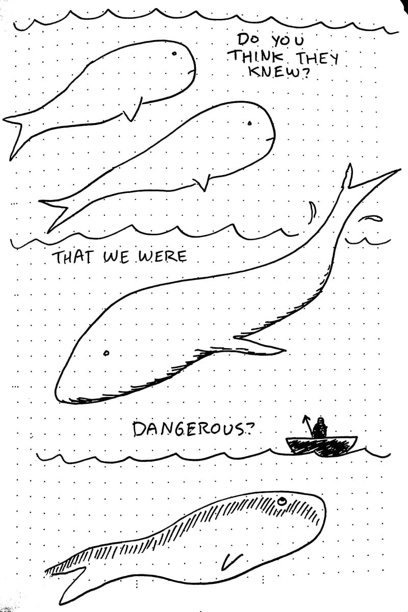 Gentle december day 4