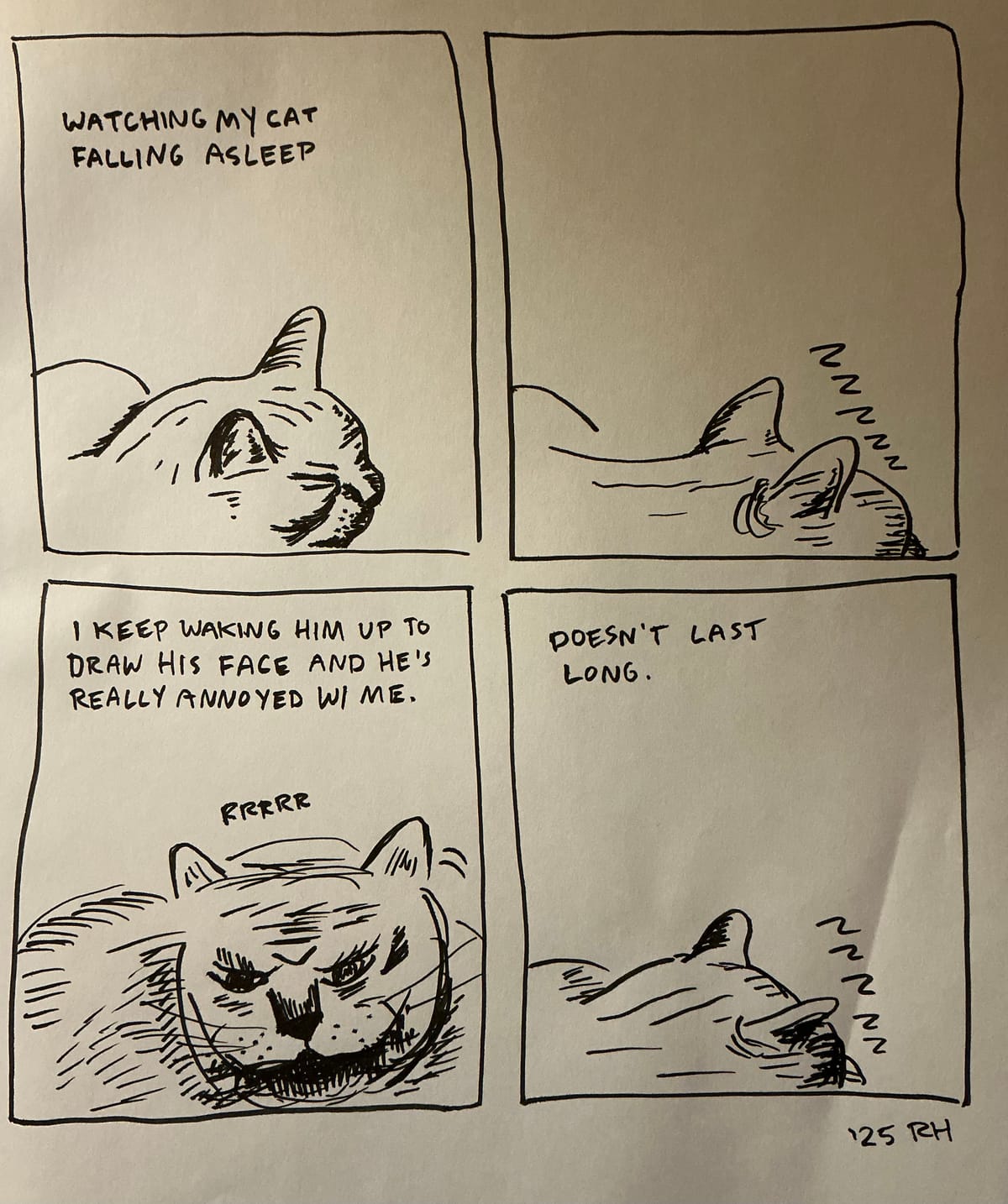 Gentle december day 17